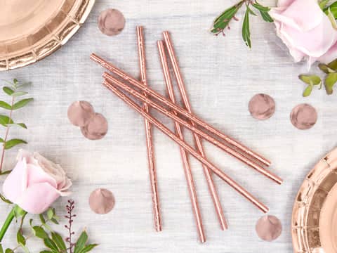 Rose Gold Paper Straws (10 Pack)