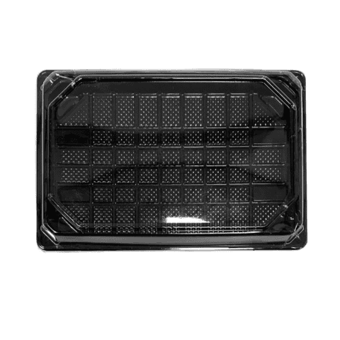 Black Sushi Trays & Lids (Pack of 10) - 3 Sizes Available